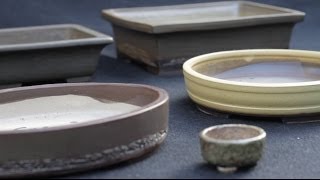 Bonsai pots [upl. by Llennahc]