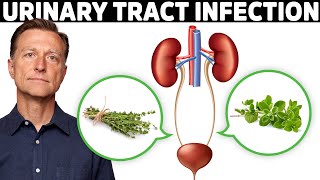 1 Best Remedy for a UTI Urinary Tract Infection [upl. by Eserehs]