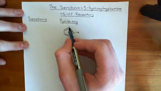 The Serotonin  5Hydroxytryptamine Receptors Part 1 [upl. by Llemij389]