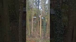 uk outdoors love nature Warley Hill campsite [upl. by Sorel189]