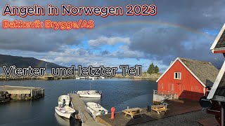 Angeln in Norwegen 2023 Bakkevik Brygge AS Vierter und letzterTeil [upl. by Eihpos]