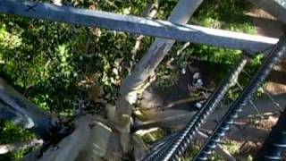 Outback Australia Gloucester Tree Climb Pemberton WA [upl. by Annabell]