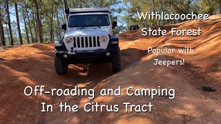 OffRoading Withlacoochee State Forest  Citrus Tract  Holder Mine Campground  Florida Jeep trails [upl. by Nnylsor446]