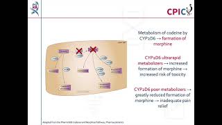 CPIC guideline for codeine and CYP2D6 [upl. by Ennaid]