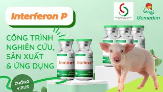 CÔNG TRÌNH NGHIÊN CỨU SẢN XUẤT amp ỨNG DỤNG INTERFERON HEO  TT CÔNG NGHỆ SINH HỌC TPHCM  VEMEDIM [upl. by Goulet]