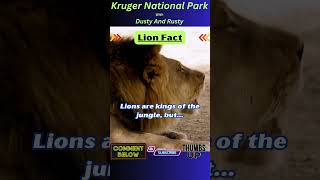 Interesting Facts  Kruger National Park  Wildlife with Rusty and Dusty [upl. by Rehpotirhc347]