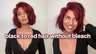 HOW TO Dye BLACK Hair RED For Hot Girl Fall WITHOUT BLEACH 🍂❤️ BradMondo [upl. by Onida541]