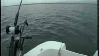 Lake Trout Fishing With Captain Mickey Maynard On Lake Champlain [upl. by Blaise616]