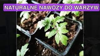 CZYM NAWOŻĘ MOJE SADZONKI Naturalne nawozy do warzyw Nawozy ekologiczne Nawozy naturalne [upl. by Dunning]