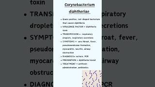 Corynebacterium diphtheriae [upl. by Giraldo]