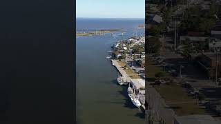 Seafood Festival Apalachicola Bay shorts travel viral [upl. by Chandal]