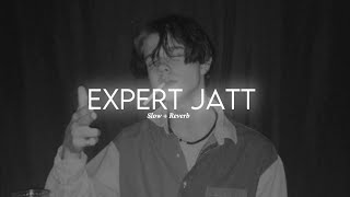 Expert Jatt Slowed  Bass Boosted  Reverb  Punjabi song [upl. by Madel]