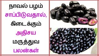 Amazing Health benefits of Jamun Fruit In Tamil I Black Plum I Naval palam Tamil Dear [upl. by Airetahs]