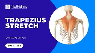 Trapezius Muscle  How to Stretch [upl. by Block]