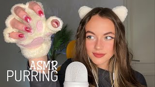 BEST PURRING ASMR of 2023 [upl. by Chin]