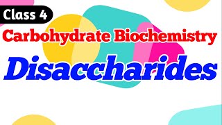 Disaccharides  Carbohydrates Biochemistry [upl. by Ariamo]