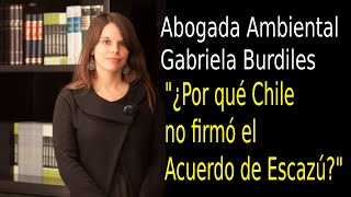 Acuerdo de Escazú Abogada Ambiental Gabriela Burdiles ONG FIMA responde Preguntas [upl. by Anayi]