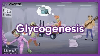 Glycogenesis Mnemonic for USMLE [upl. by Harlie430]