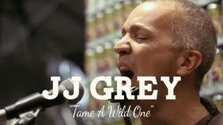 Tame A Wild One  JJ Grey  Live at Sun King Brewery My Old Kentucky Blog Session [upl. by Sabsay]