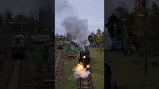 Dampflokomotive 52 81548 aus dem Eisenbahnmuseum LeipzigPlagwitz  trainspotting dampflok train [upl. by Cissiee]