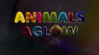 Animals Aglow Lantern Festival at Saint Louis Zoo TV Commercial [upl. by Rosenblatt]