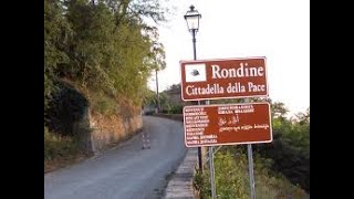 RONDINE CITTADELLA DELLA PACE UN LUOGO CHE FA BENE AL CUORE FRANCO VACCARI per Cesena 14 10 24 [upl. by Ailiec]