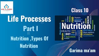 Life Processes Nutrition [upl. by Eltsyrk]