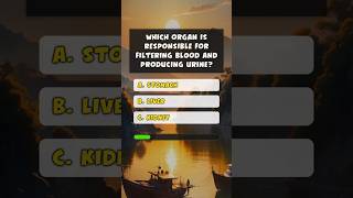 Quick Health Trivia Can You Get Them All Right quiz quiztime shorts [upl. by Ricard]