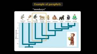 Cladistic Applications  Biology 1B Lecture 21 [upl. by Raouf]