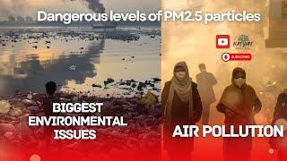 Air Pollution in India The Growing Environmental Crisis 🌍  naturevoiceflix [upl. by Aicelav]