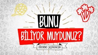 Bunu biliyor muydunuz [upl. by Erdnua299]