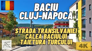 Baciu Judetul Cluj Romania Comuna BaciuClujNapoca Baciu 4k [upl. by Lledra]