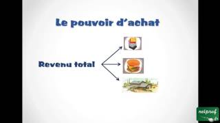 Économie  Niveau de vie et pouvoir dachat [upl. by Weslee]