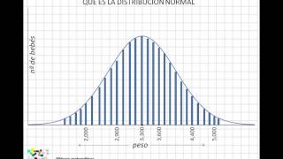 01 Qué es la distribución normal [upl. by Akeemaj]