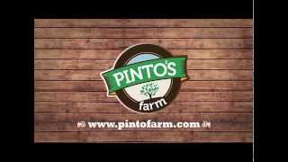 Things to do at Pintos Farm [upl. by Adrienne]