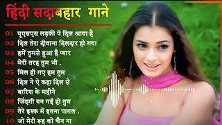 Hindi Gana🌹Sadabahar Song 💖हिंदी गाने 💔Purane Gane Mp3 💕Filmi Gaane अल्का याग्निक कुमार सानू गीत [upl. by Janina]