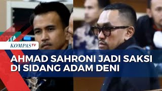 Momen Panas debat Ahmad Sahroni di Sidang Selebgram Adam Deni [upl. by Rebeca968]