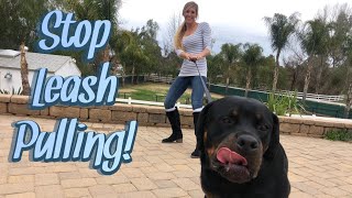 Simple method to help pulling on leash [upl. by Goldshlag]