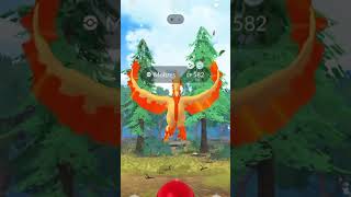 WHEN shiny Luck is on Next Level  Shiny Moltres Articuno Zapdos Galar [upl. by Errehs546]