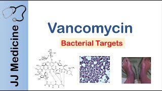 Vancomycin  Bacterial Targets Mechanism of Action Adverse Effects [upl. by Oiceladni]