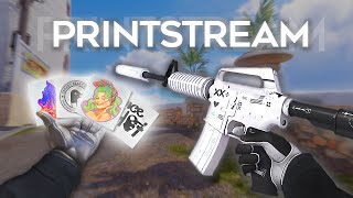 M4A1S Printstream BEST sticker Combos in CS2 [upl. by Warden]