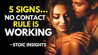 5 Signs the No Contact Rule is Working Stoic Insights [upl. by Ecinue]