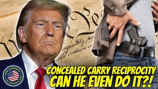 Can He Even Do It Concealed Carry Reciprocity vs States Rights [upl. by Ranitta]