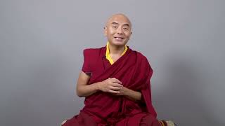 A special birthday message from our beloved teacher Yongey Mingyur Rinpoche [upl. by Coplin758]