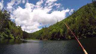 Casting the Tenkara Rod Cos Sawtooth rod on a backcountry pond in New Hampshire [upl. by Aihsined]