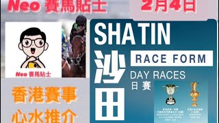 【賽馬貼士】 2024年2月4日 香港賽事 心水推介 沙田馬場 Shatin Racecourse Hong Kong Horse Racing [upl. by Joycelin483]