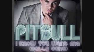 Pitbull  I Know You Want Me Calle Ocho REMIXES Instrumental [upl. by Annoik]