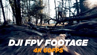 DJI FPV Video Sample 4K 60fps [upl. by Berget]