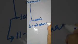 Photochemical change in Rhodopsin or Wald visual cycle🔥 [upl. by Lorry]