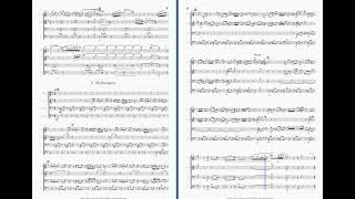 GBizetSuite from CarmenAragonaiseHabaneraToreadorsSongArr for Flute Ensemble [upl. by Toma]